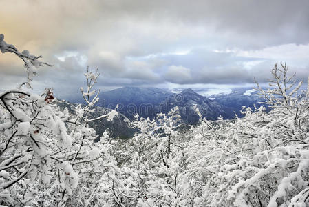 冬季山地景观