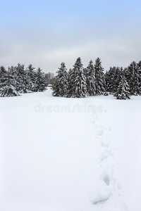 加拿大冬季景观