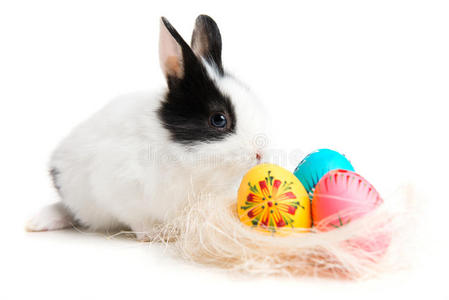 复活节兔子和蛋在巢里