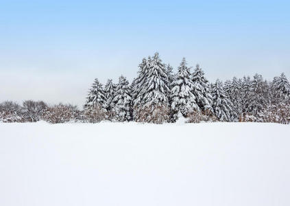 暴风雪过后的宁静冬林