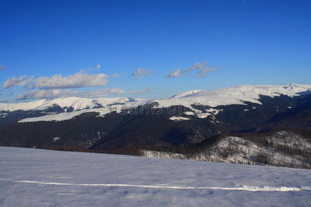 塔尔库山冬景图片