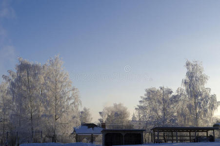 冰封的树梢和带门的篱笆图片