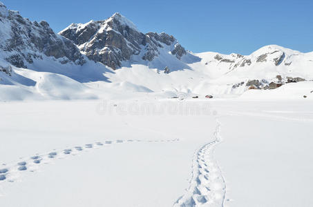 雪地上的脚步声图片