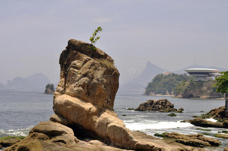 旅行 美丽的 巴西人 狂欢节 硝石 海岸线 南方 城市 海湾