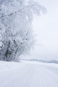 雪路