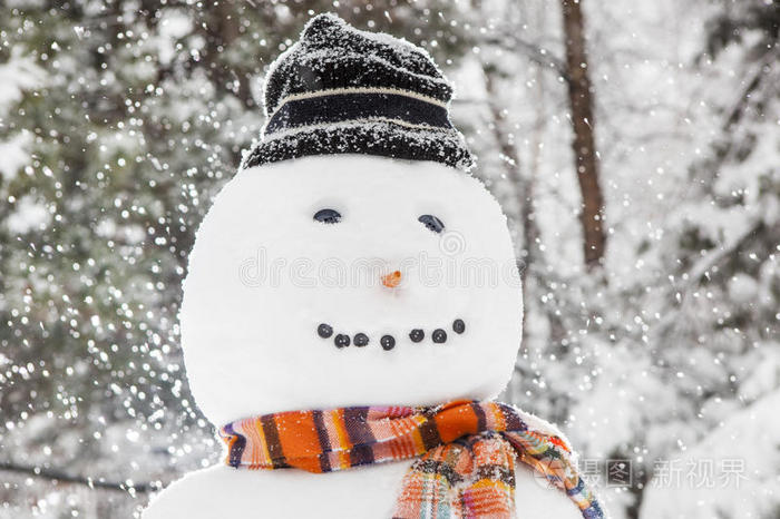 戴着围巾和帽子的快乐的白雪人