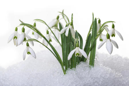 雪中汉服美女雪中的雪珠照片