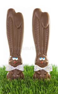 草地上的巧克力兔子