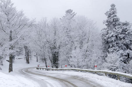 雪路