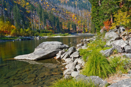 河边水草图片-河边水草素材-河边水草插画-摄图新视界