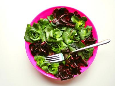 绿色理念蔬菜碱性饮食