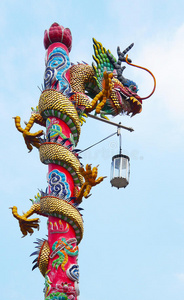 龙盘柱图片