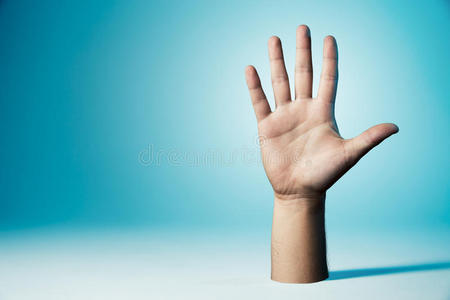 手显示所有五个手指