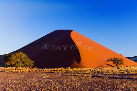 南非纳米布沙漠的日落沙丘
