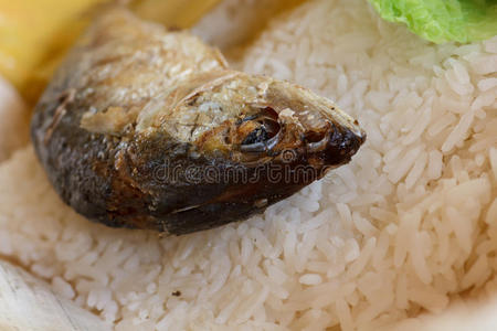 火鱼泰国菜图片