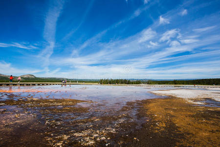 黄石公园湿地图片
