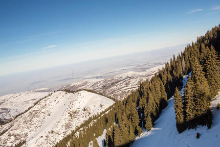 高山 雪堆 冻结 布拉克 冷杉 气候 自然 假日 森林 风景