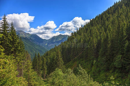 塔特拉山脉景观