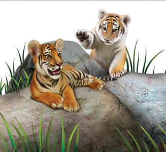 两只小老虎在岩石上玩耍.照片