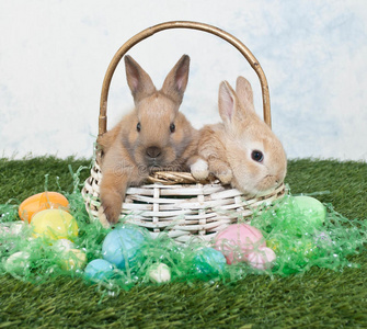 两只复活节兔子
