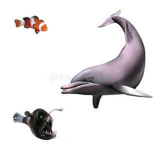 夫妇 插图 深水 海豚 哺乳动物 动物 美丽的 娱乐 活的