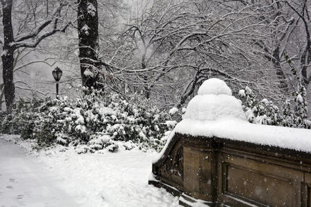 纽约中央公园暴风雪