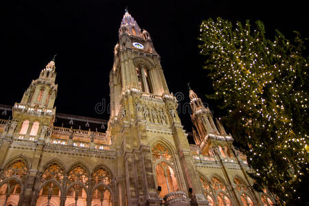 维也纳市政厅圣诞集市
