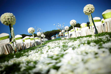 花园现场图片-花园现场素材-花园现场插画-摄图新视界