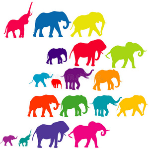 一套大象色的剪影照片