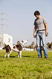 斗牛犬和狗主人