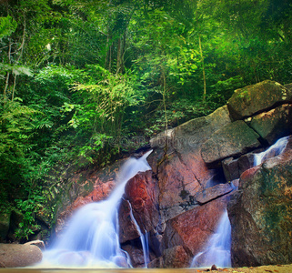 热带森林中的瀑布景观