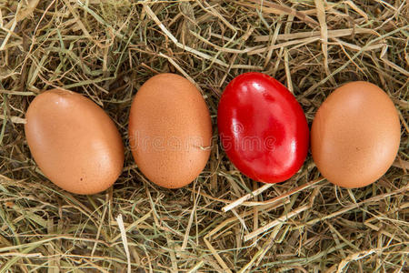 麦秸红蛋配素鸡蛋图片