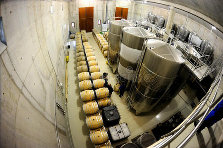 葡萄酒工业