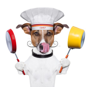 狗厨师