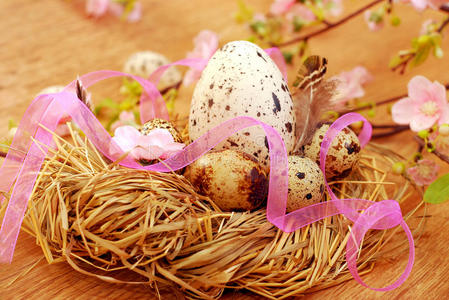 复活节用鹌鹑蛋筑巢