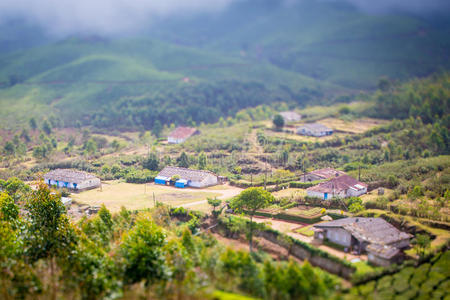 茶园中间的房子图片