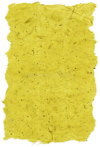 孤立米纸纹理黄色XXL