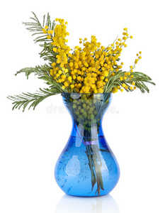 蓝色玻璃花瓶里一束黄色含羞草相思花