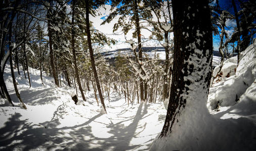 极速越野滑雪