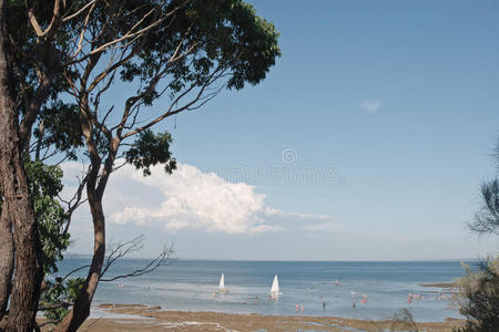 夏天有船的海湾