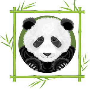 竹框熊猫