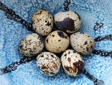 斑点 食物 庆祝 鸡蛋 复活节 生活 春天 假日 陶器 公司
