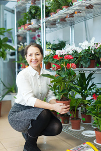 成熟女人选红掌