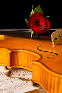 小提琴乐谱与玫瑰