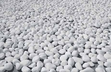 海滩上白色石头的特写照片