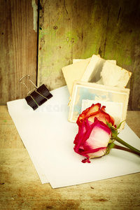 红玫瑰，白纸和旧照片
