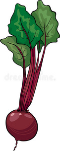 甜菜蔬菜卡通插画