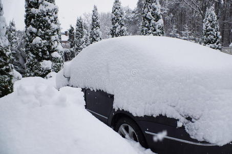 雪下的汽车