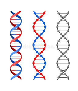 dna