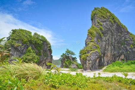 热带石灰岩